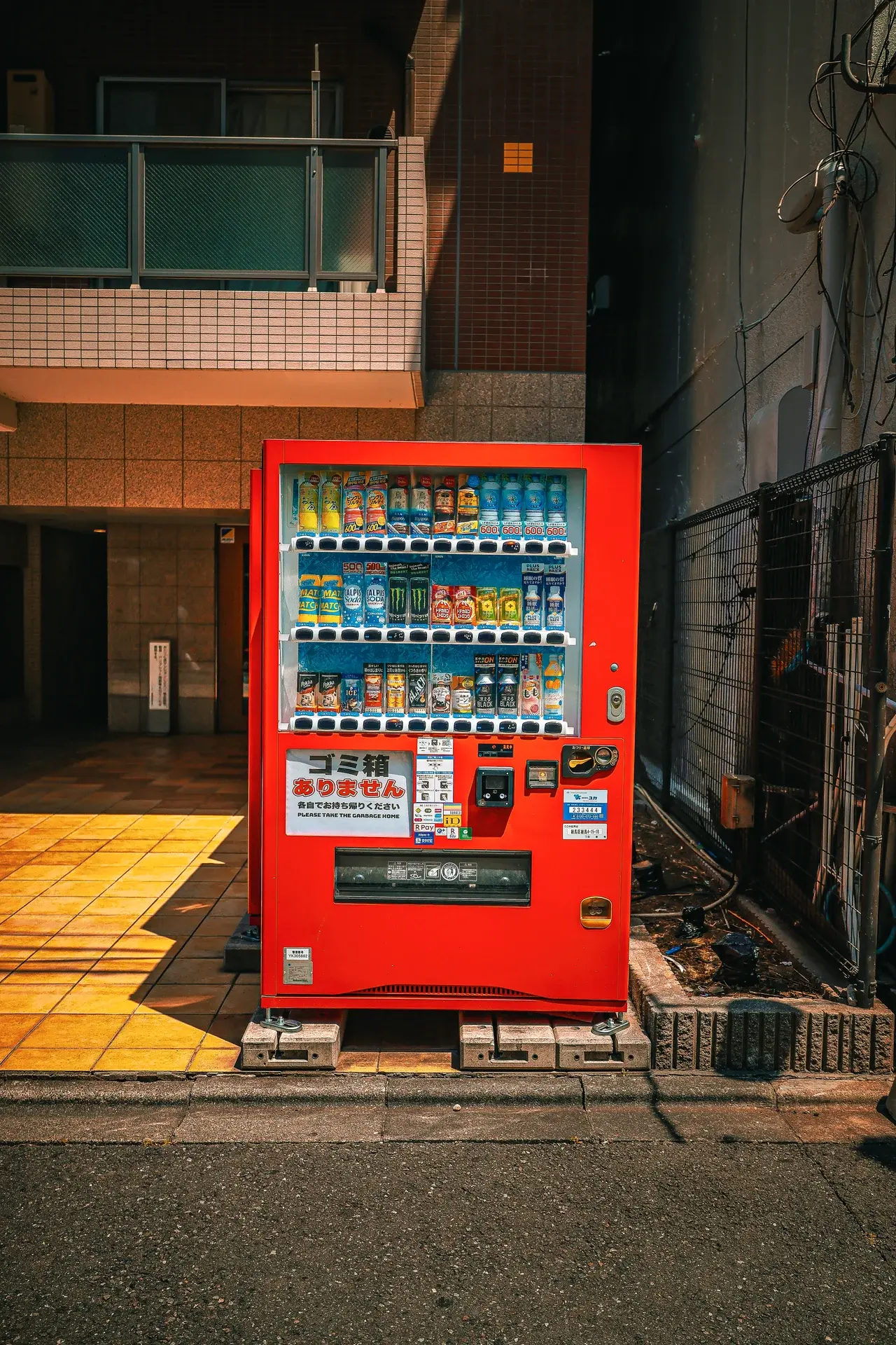 Photography — 빛과 시선으로 기록하는 일상의 순간들